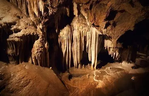 Cercando Le Cinque Terre דירה